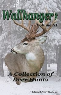 bokomslag Wallhangers Volume III