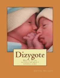 bokomslag Dizygote: Récit d'un accouchement gémellaire