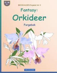 BROCKHAUSEN Fargebok Vol. 3 - Fantasy: Orkideer: Fargebok 1