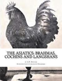 bokomslag The Asiatics: Brahmas, Cochins and Langshans: Chicken Breeds Book 17