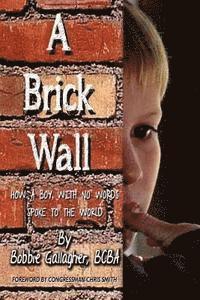 bokomslag A Brick Wall: How a Boy with No Words Spoke to the World