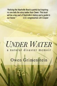 bokomslag Under Water: A Natural Disaster Memoir