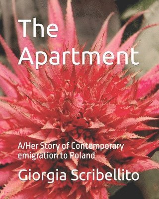 The Apartment: A/Her Story of Contemporary emigration to Poland 1
