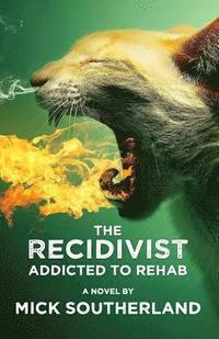 bokomslag The Recidivist: Addicted to Rehab: A shocking novel about alcoholism, rehab, and redemption.