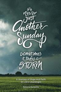 Patricia Harbottle - It's Never Just Another Sunday: Sometimes It Takes a Storm, Häftad