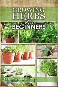 bokomslag Growing Herbs for Beginners: How to Grow Low cost Indoor and Outdoor Herbs in containers, for Profit or for health benefits at home, Simple Basic R
