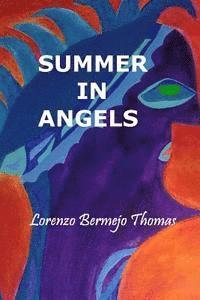 bokomslag Summer in Angels