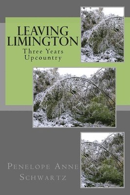 bokomslag Leaving Limington: Three Years Upcountry