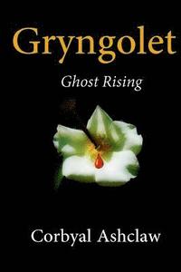 bokomslag Gryngolet Book Two: Ghost Rising