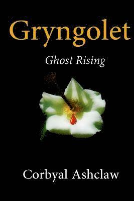 bokomslag Gryngolet Book Two: Ghost Rising