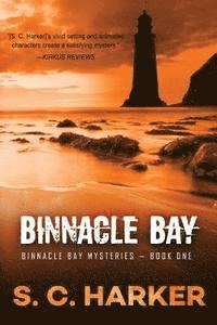 bokomslag Binnacle Bay: Binnacle Bay Mysteries, Book 1