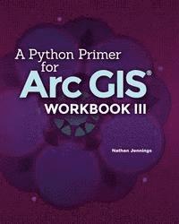 bokomslag A Python Primer for ArcGIS(R): Workbook III