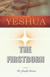bokomslag Yeshua the Firstborn