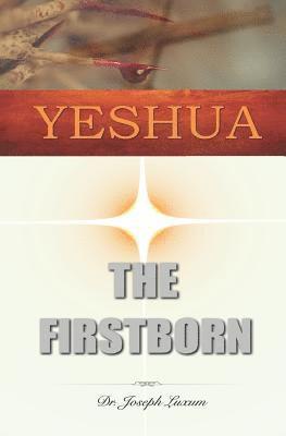 bokomslag Yeshua the Firstborn