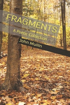 John Mullin - Fragments, Häftad