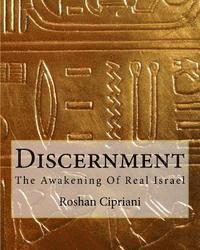 bokomslag Discernment: The Awakening Of Real Israel
