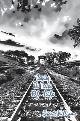 bokomslag Crossing the Tracks of Life: Inspirational Poetry