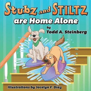 bokomslag Stubz and Stiltz Are Home Alone