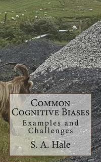 bokomslag Common Cognitive Biases: Examples and Challenges