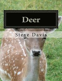 Steve Davis - Deer: Adult Coloring Book, Häftad