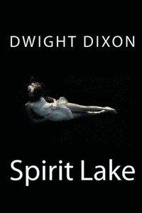 bokomslag Spirit Lake