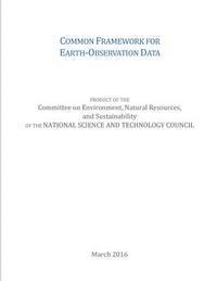 bokomslag Common Framework for Earth-Observation Data