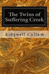 bokomslag The Twins of Suffering Creek