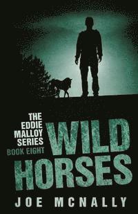 Joe McNally - Wild Horses, Häftad