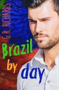 bokomslag Brazil by Day