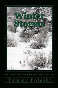 bokomslag Winter Storms