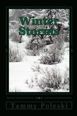 Tammy Poleski - Winter Storms, Häftad