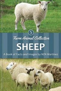bokomslag Sheep