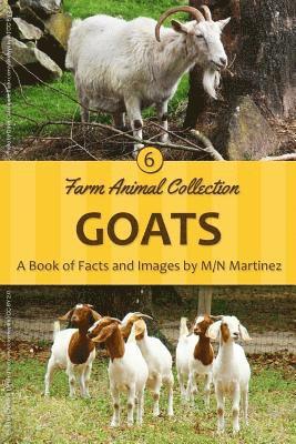 Goats 1