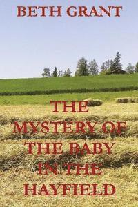 bokomslag The Mystery Of The Baby In The Hayfield
