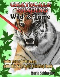 Grayscale Wild and Tame: Grayscale Coloring 1