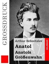 bokomslag Anatol / Anatols Größenwahn (Großdruck)