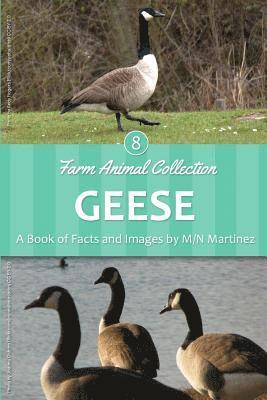 Geese 1