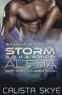 bokomslag Gamma Raiders: The Storm Squadron Alpha: SciFi Alien Romance Novel