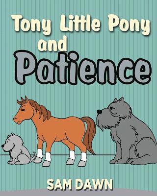 Tony Little Pony and Patience 1