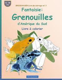 bokomslag BROCKHAUSEN Livre de coloriage vol. 3 - Fantaisie: Grenouilles d'Amérique du Sud: Livre à colorier