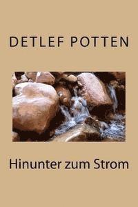 bokomslag Hinunter zum Strom