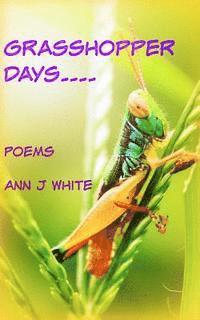 bokomslag Grasshopper Days and Firefly Nights: a book of poems