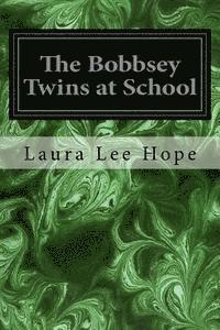 bokomslag The Bobbsey Twins at School