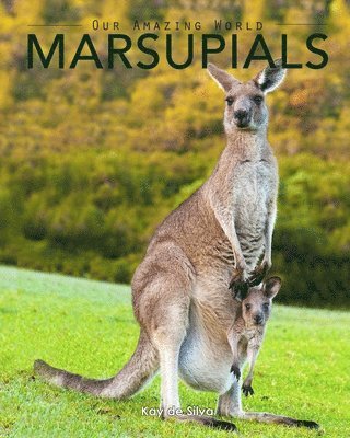 bokomslag Marsupials: Amazing Pictures & Fun Facts of Animals in Nature