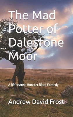 bokomslag The Mad Potter of Dalestone Moor