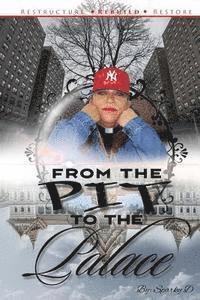 Belinda Trotter-James - From the Pit to the Palace: Restructure Rebuild Restore, Häftad