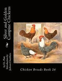 bokomslag Silver and Golden Campine Chickens: Chicken Breeds Book 26