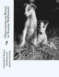 bokomslag Observations on Borzoi or Russian Wolfhounds