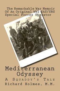 bokomslag Mediterranean Odyssey