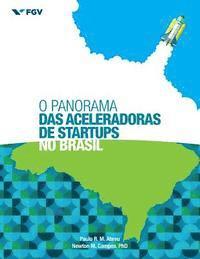Newton M. Campos, Paulo R. M. Abreu - O Panorama das Aceleradoras de Startups no Brasil, Häftad